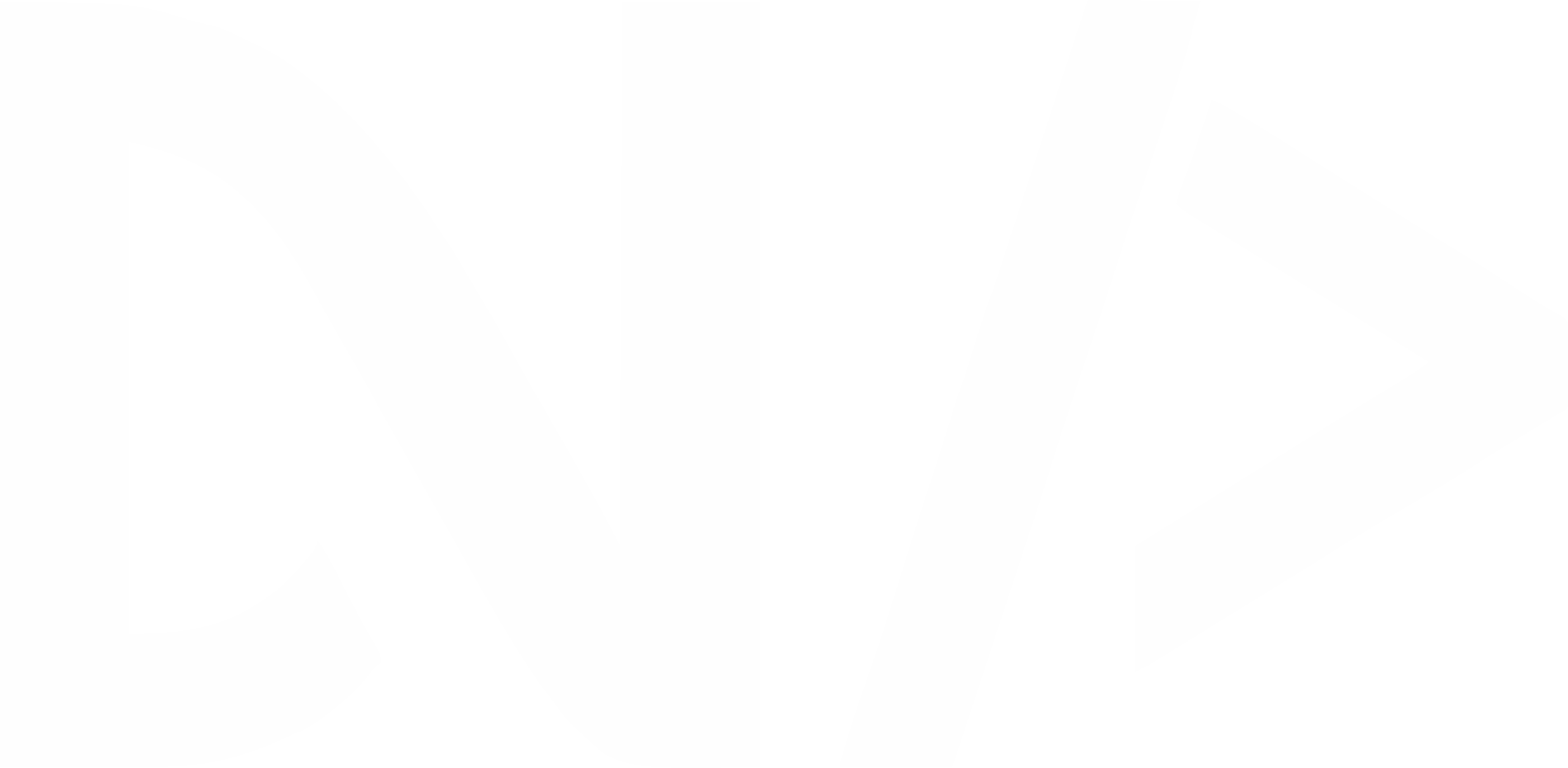 imagen logo DN Developer